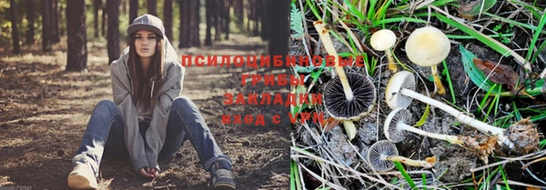 кристаллы Алексин