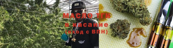 крисы Алзамай