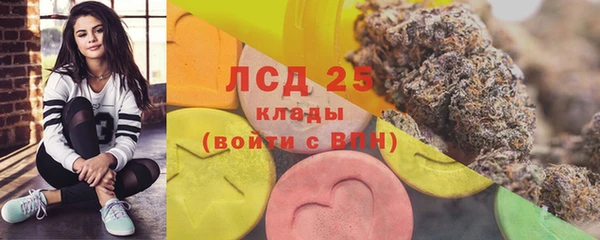 стаф Алексеевка