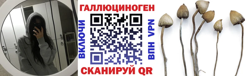 MEGA сайт  Уссурийск  Псилоцибиновые грибы Cubensis  купить  цена 